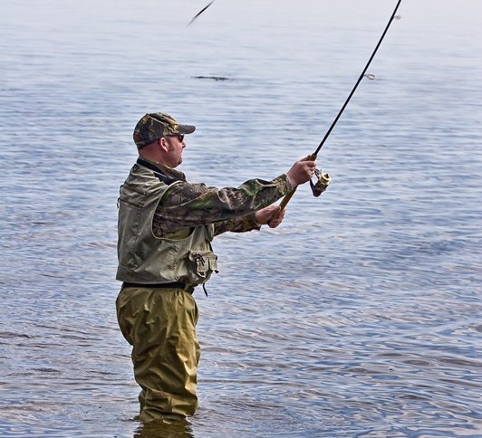 pêche à la carpe