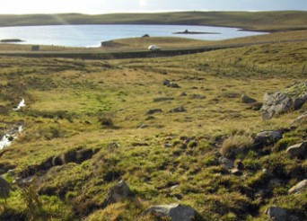 paysage d'aubrac