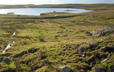 paysage d'aubrac