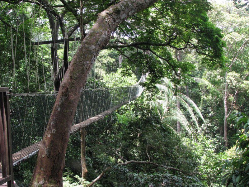 Taman Negara