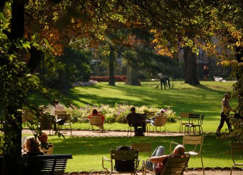 grand jardin au soleil en ville