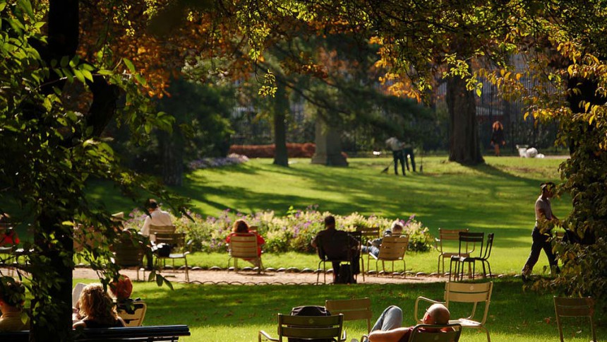 grand jardin au soleil en ville