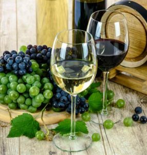 Vins-Languedoc